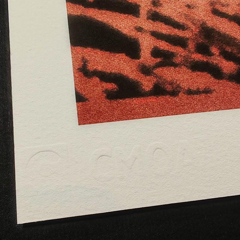 1980s Andy Warhol "Butterfly" Limited Edition Lithograph by CMOA.