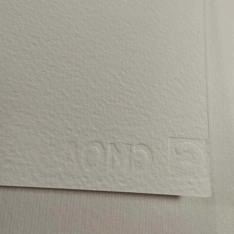 1980s Andy Warhol "Flowers" Limited Edition Lithograph by CMOA.