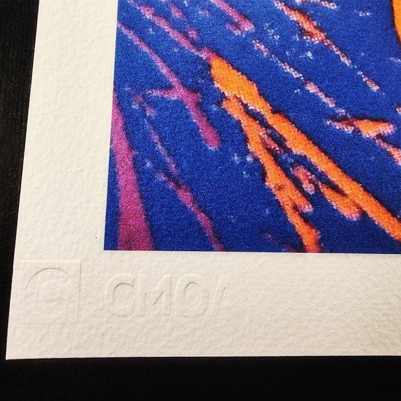 1980s Andy Warhol "Flowers" Limited Edition Lithograph by CMOA.