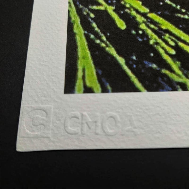 1980s Andy Warhol Limited Edition Lithograph by CMOA Numbered in Pencil.