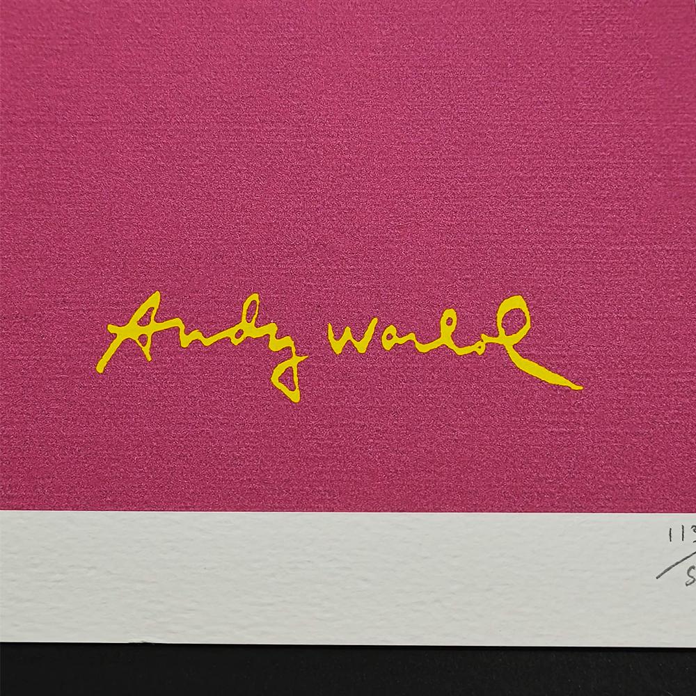 1980s Andy Warhol "Beetle" Limited Edition Lithograph by CMOA Numbered in Pencil.